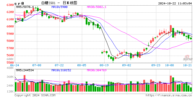 光大期货软商品类日报10.22